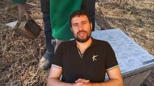 Почему пчелы плохо развиваются весной Как нарастить пчел весной. Ошибки пчеловод