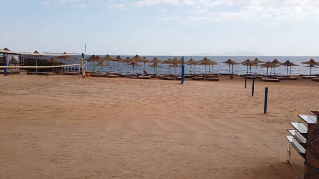 Обзор Shores Aloha Resort 4* (Otium Park Aloha Beach Resort 4*) Отзыв отеля Шорес Алоха Резорт 4* смотреть онлайн