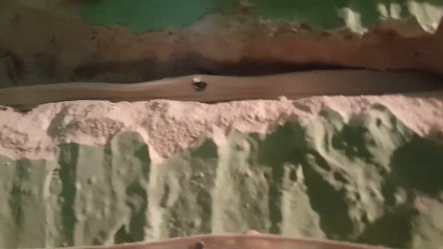 Нашли место обрыва кабеля, после прокладки оптоволокна смотреть онлайн