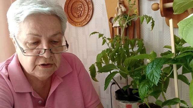 878. Напоминалочка. МагБор для всех. смотреть онлайн