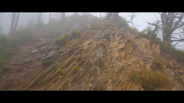 Аршан пик любви 2124 смотреть онлайн