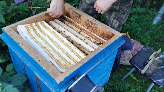 Жизнь в селе. Наша пасека. Откачиваем мёд и собираем пчел в зиму. смотреть онлайн