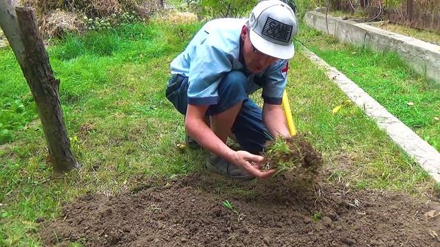 6 Всё равно это фиолетовый Алмаз (2).mp4 смотреть онлайн