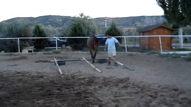 THERAPEUTIC RIDING, POLITROPO, VOLOS, program overview смотреть онлайн