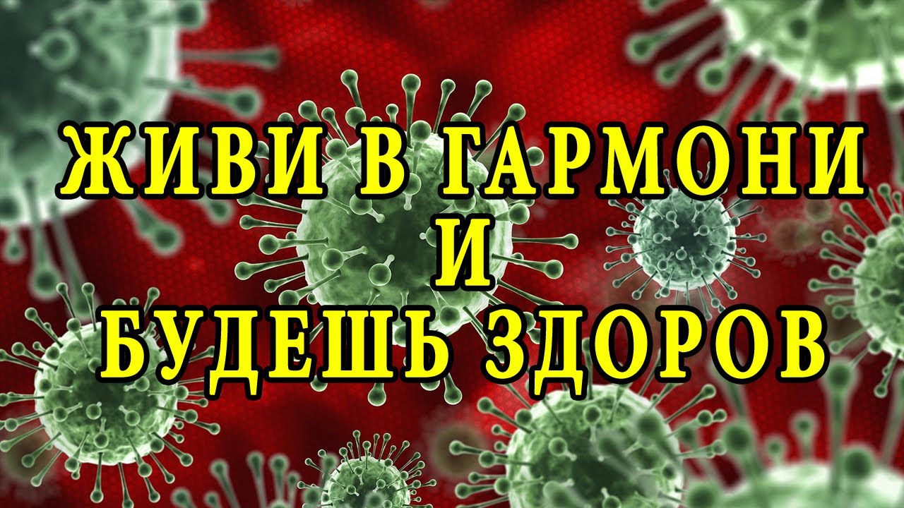 Почему одни болеют и умирают, а другие выздоравливают смотреть онлайн