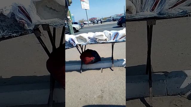 Торговля на северной базе пенза