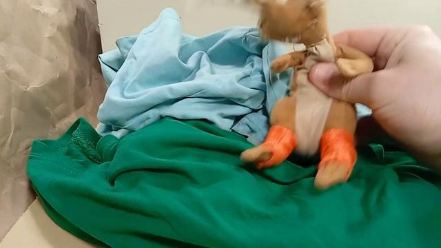 Как выучить любые стихи 2 способа смотреть онлайн