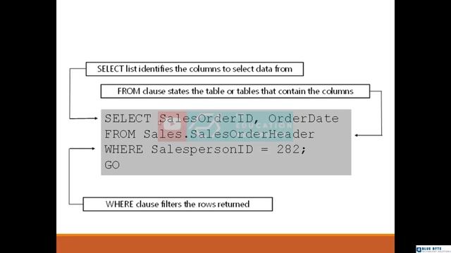 SQL Server 2019 - 34 - SQL languages смотреть онлайн