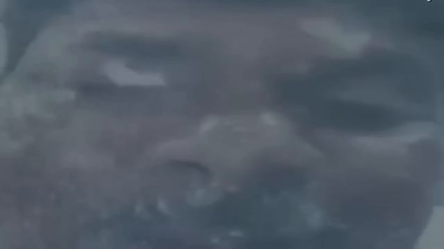 Roblox EVADE.exe (MEMES) смотреть онлайн