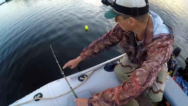 Ловля СОМА на ПОПЛАВОК!!! смотреть онлайн