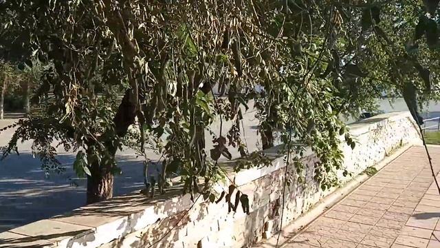 Видео у входа г. Астрахань пл. Заводская смотреть онлайн