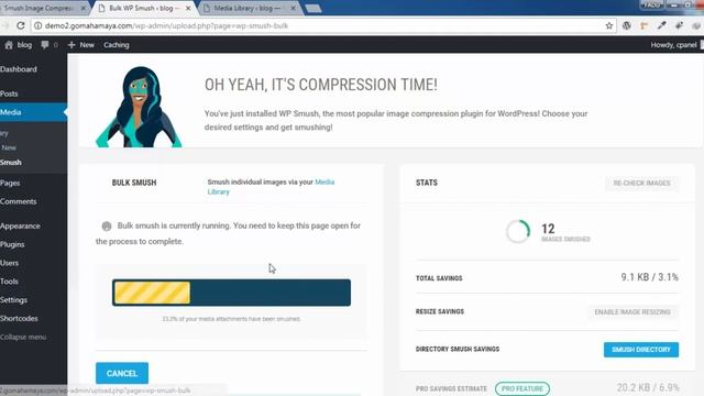 Smush Image Compression and Optimization WordPress Plugin смотреть онлайн