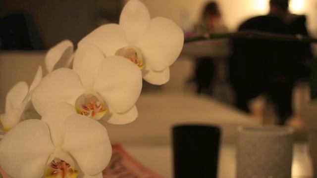 Canon EOS 400D Test Photos