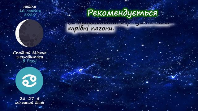 [Серпень 2020] Місячний посівний календар городника-садівника | Городник Інфо смотреть онлайн