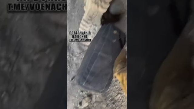 Видео с очередным брошеным американским БТР Stryker смотреть онлайн