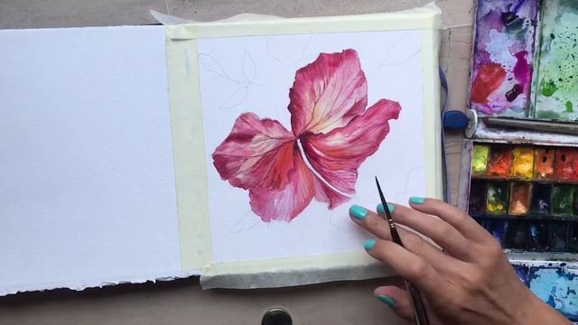 Гибискус акварелью. Hibiscus in watercolor. смотреть онлайн