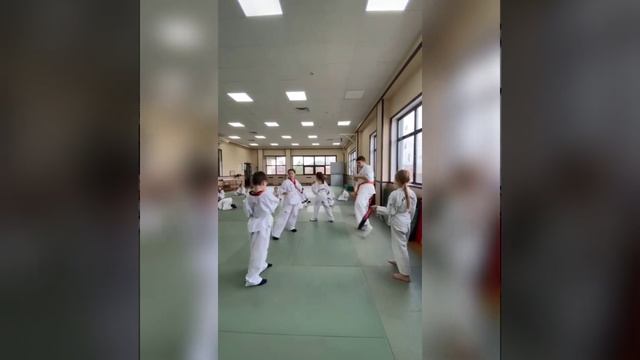 Школа Тхэквондо, Артем Шин, Краснодар смотреть онлайн