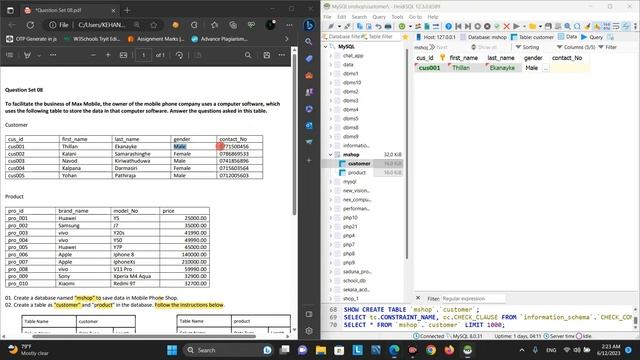 Data Base Task 08 | Write a Search Query Statement | 1st Year | Java Institute смотреть онлайн