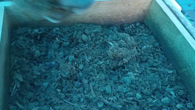 Почему я просеиваю торф, а не дроблю? смотреть онлайн