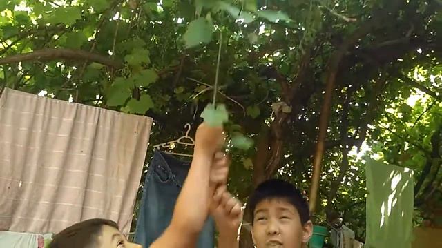 экстремальный У тебя есть 7 секунд Что выполнить задание смотреть онлайн