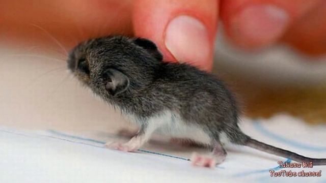 Любимый... мои стихи смотреть онлайн