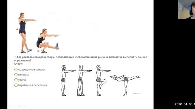 Анализаторы 8 класс Урок на Дистанционном обучении. Баштанник Н.Е. смотреть онлайн