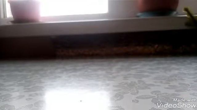 Мои подарки на ДР. Какого у вас день рождения? У Меня 27 октября а у вас ?????? смотреть онлайн