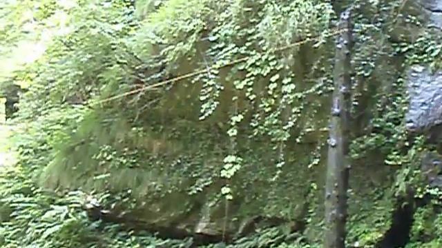Canyoning in India with Top Rock Adventures : how to remoove a tree ! 6th смотреть онлайн