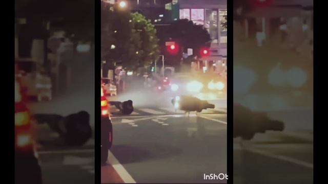 Месть мотоцикла #Shorts смотреть онлайн