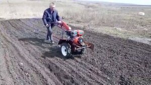 Боронование [мотоблоком]