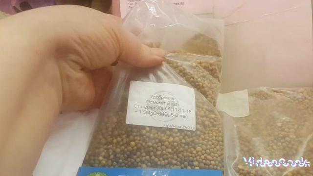 Обзор моих стелажей с цветамипосылка от агровиолы