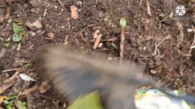 Составляем карту клада на примере крокуса. смотреть онлайн