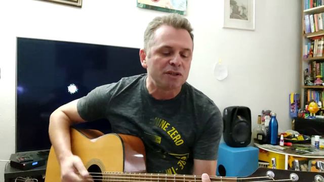 Сергей Воронов - "Солнечные дни" (Виктор Цой) смотреть онлайн