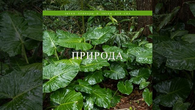 Красивые волны на воде