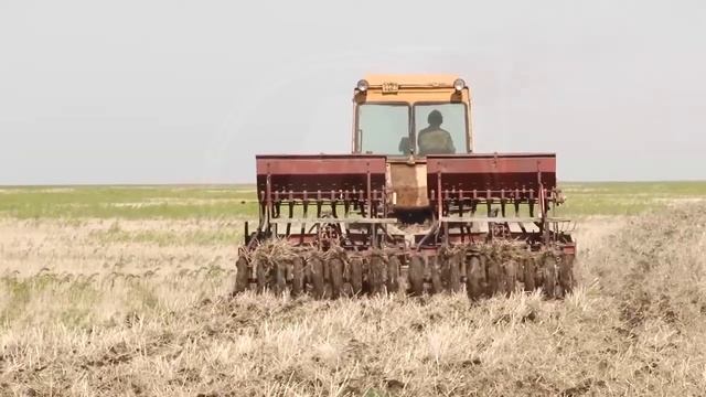 Более 180 тыс гектаров уже засеяно в Костанайской области смотреть онлайн