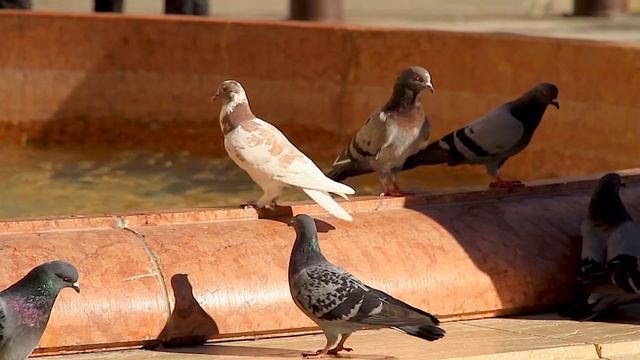 10 Most Beautiful Cities to Visit in France 4K ?? | Paris | Lyon | Marseille смотреть онлайн