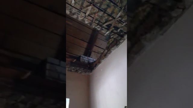 Обрушился потолок на Тюленина, 5А в Кемерове смотреть онлайн