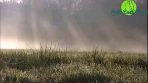 Чем занимаются настоящие просветленные йоги?! Автобиография йога часть аудиокниги