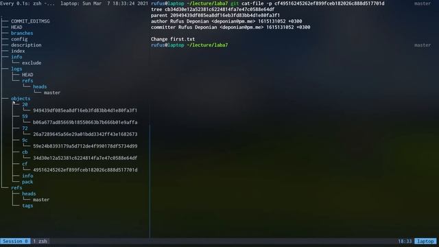 Programming. Git internals. (Lecture 1 / 2021-03-07) смотреть онлайн