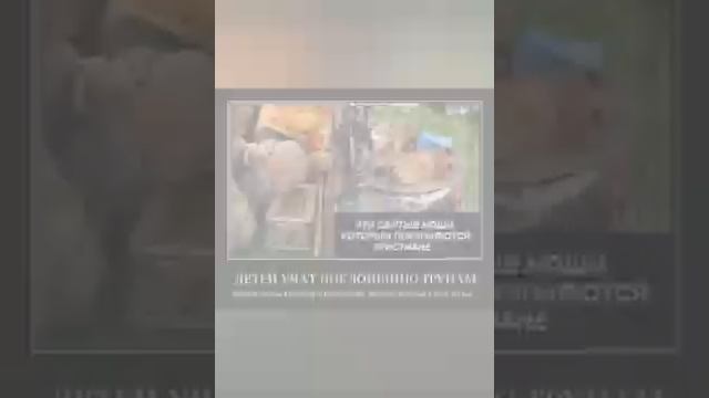 Мать Полынь собрала рать / Стихи Посвященной смотреть онлайн