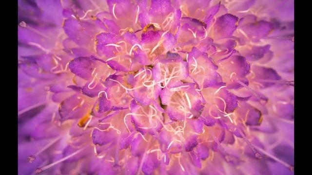 BAXTLI INSONLAR SIRI смотреть онлайн