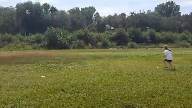 5 10 15 метров Челночный бег смотреть онлайн