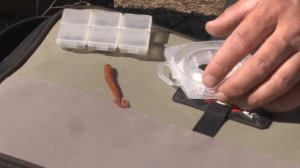 Как ловить на дроп-шот. На рыбалку с Нормундом #65