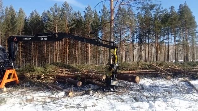 Испытания харвестера на базе МТЗ смотреть онлайн
