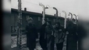Комендант Освенцима 15 лет скрывался в лесу - Рихард Баер. Военные истории.