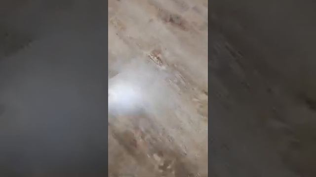 Универсальная салфетка - можно мыть пол смотреть онлайн