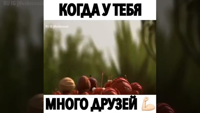 Много друзей. смотреть онлайн