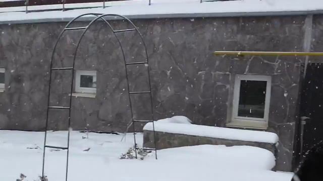 Как удачно и надёжно выйти замуж после 35 лет. смотреть онлайн