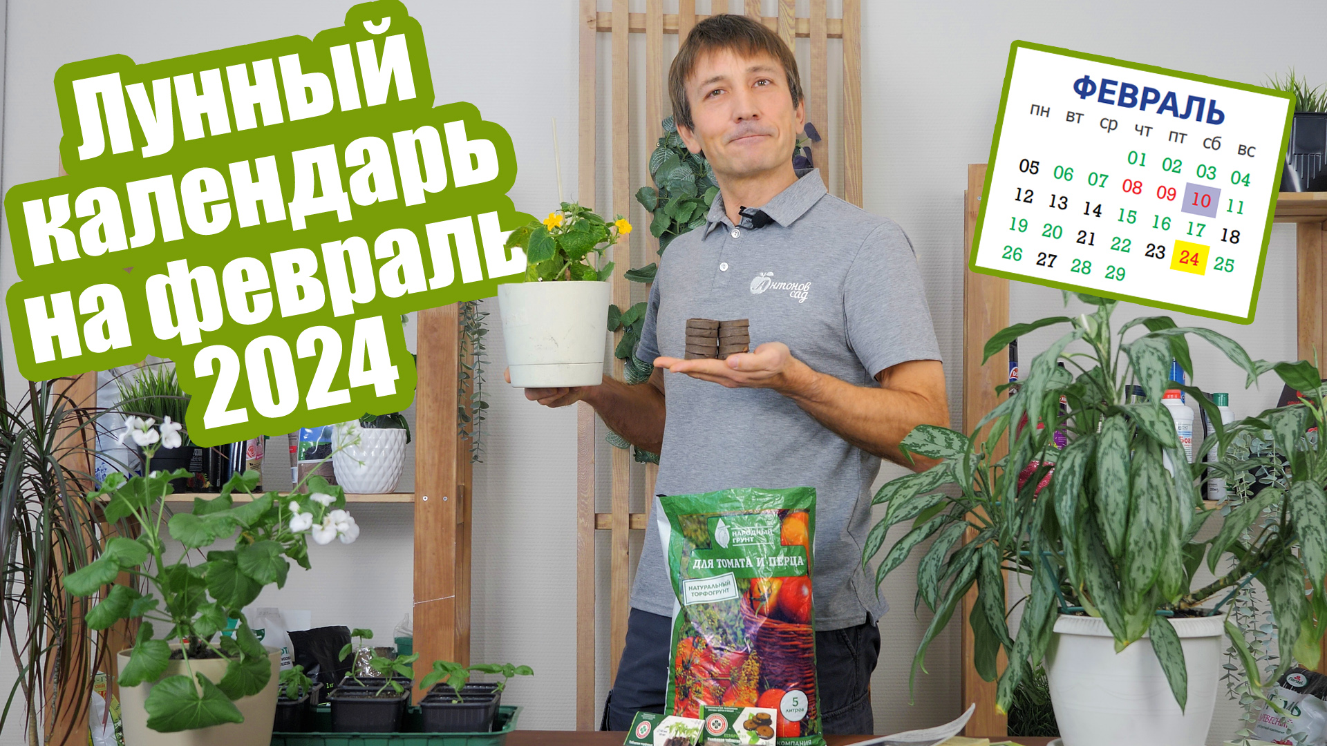 Лунный календарь огородника на февраль 2024. Календарь посевов на февраль смотреть онлайн