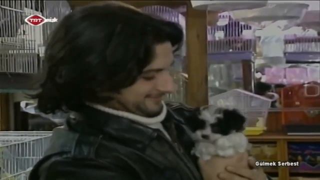 Tarkan'ın Yılan sevgisi смотреть онлайн